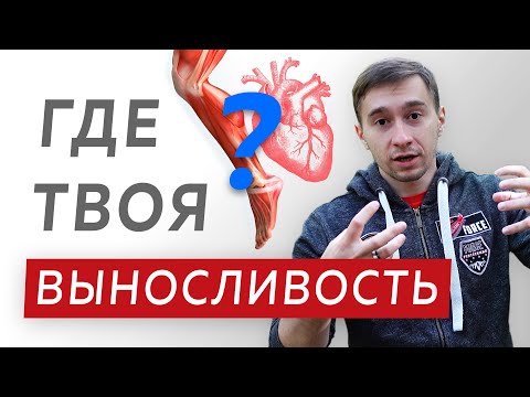 Выносливость в беге - От чего зависит и как развить?