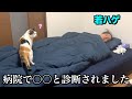 病院で〇〇と診断されたので地元鳥取で盲目の保護猫とゆっくり療養する若ハゲの1日