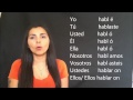 02 Spanish Lesson - Preterite - Irregulars - Song! - YouTube