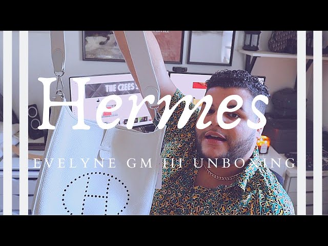 Hermes Evelyne Comparison and Unboxing GM Vs PM 