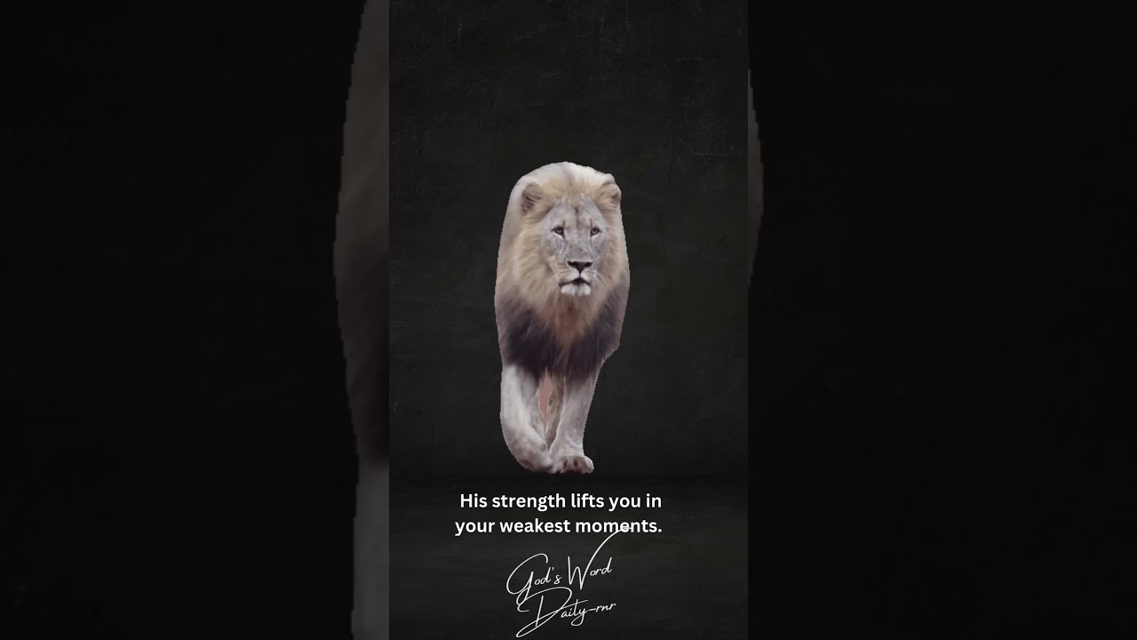 Trusting God with Your Future Finding Peace in His Plan 