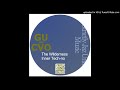 GU Aka CVO The Wilderness Strictly Jaz Unit SJU12R01 mp3