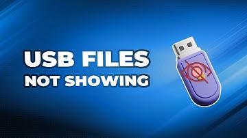How to Fix USB Files Not Showing but Space Used