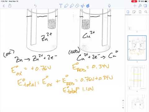 Identifying the anode and cathode in a galvanic cell