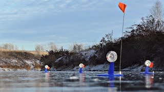 видео: Оставил жерлицы без присмотра на пять минут! Неожиданный результат! Леска трещит в пальцах! картинка: Оставил жерлицы без присмотра на пять минут! Неожиданный результат! Леска трещит в пальцах!