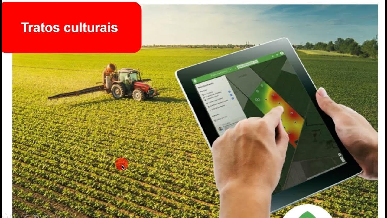 Мен жерді. Цифровые технологии в сельском хозяйстве. Сотрудничество в сельском хозяйстве. Мониторинг сельскохозяйственной техники. Диагностика сельхозтехники.
