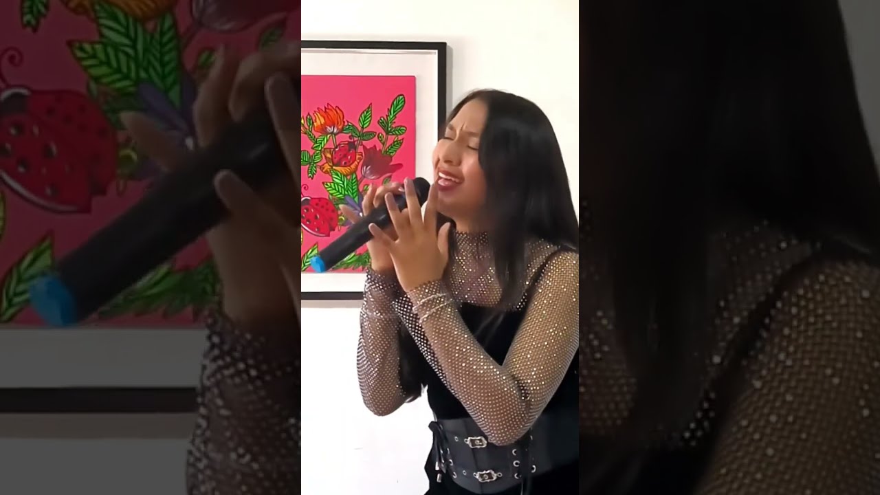 La Ruta del Mapocho, María Yanez (Dione), Cerrillos, Categoría Migrante. Si yo fuera un Chico