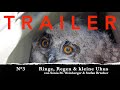 TRAILER: N°3 "Ringe, Regen & kleine Uhus"