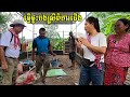 289  life in the cambodian countryside