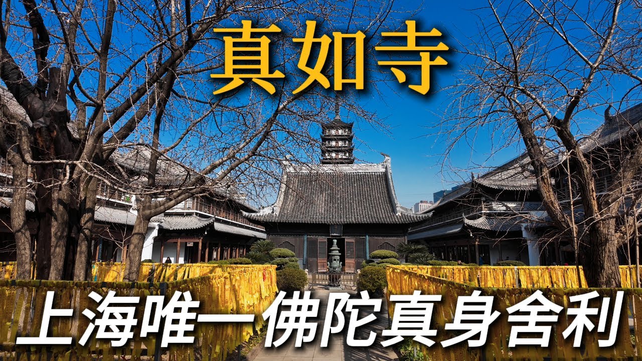 比故宮還早200年？齋飯是自助餐，20元隨便吃！上海最幽靜的古寺—真如寺！｜上海旅遊｜上海自由行｜citywalk｜小白Ethan