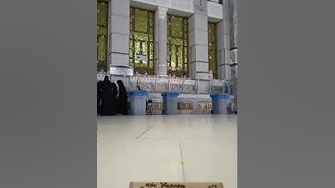 سورة الفجر بأجمل ترتيل من الشيخ ياسر الدوسري عشاء الخميس ٥ جمادي الأولى ١٤٤٣هـ