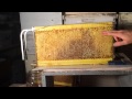 Bench Test Flow Frame Bench Test Flow Frame