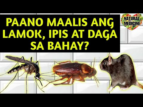 Video: Paano Ayusin Ang Isang Palabas Sa Hayop