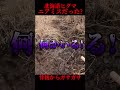 ヒグマハプニングまとめ。北海道は身近にいる存在。気を付けながら釣りを楽しむ。#熊#ヒグマ#北海道