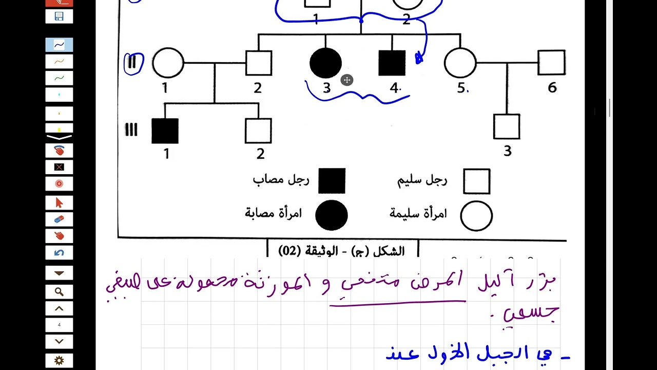 شرح شجرة النسب تلاميذ 2 ع ت 2 رياضيات