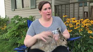 An Update On Cuddles, She Has Had A Rough Summer. Bot Flies