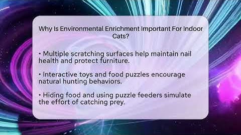 Why Is Environmental Enrichment Important For Indoor Cats? - Happy Cat Handbook