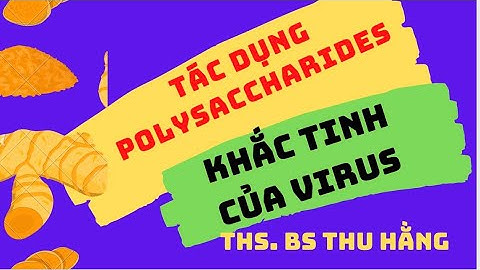 Polysaccharid nào không tiêu hóa được trong cơ thể người