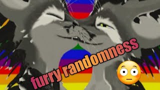 Furry tiktok meme randomness