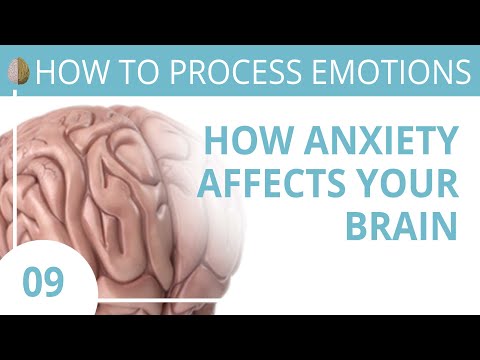 How Anxiety Affects the Brain 9/30 How to Recognize and Turn off the Fight/Flight/Freeze Response