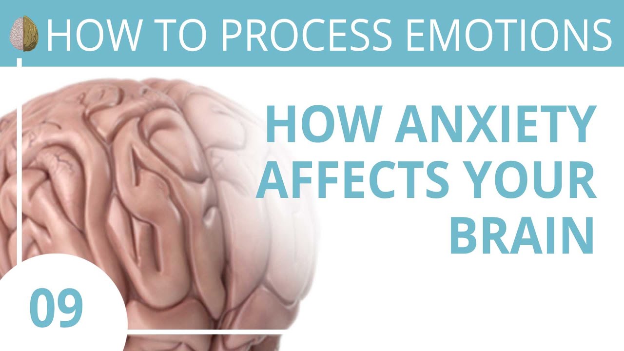 How Anxiety Affects the Brain 9/30 How to Recognize and Turn off the Fight/Flight/Freeze Response