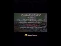 جديد شيلة الاختبارات 