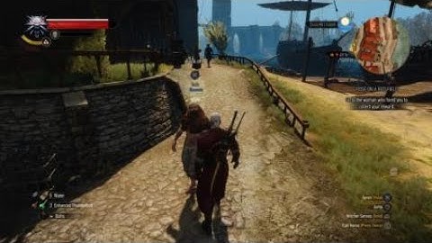 Witcher 3 - Levitating Racist