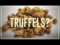 Magic Truffles (Psilocybin) - Do’s & Don’ts | Drugslab