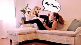 Stealing My Dog's Bone. He Went Crazy!!