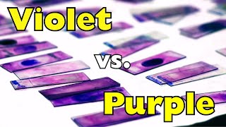 Download Lagu Violet versus paars: wat is het echte verschil? MP3 Download Lagu Violet versus paars: wat is het echte verschil? MP3