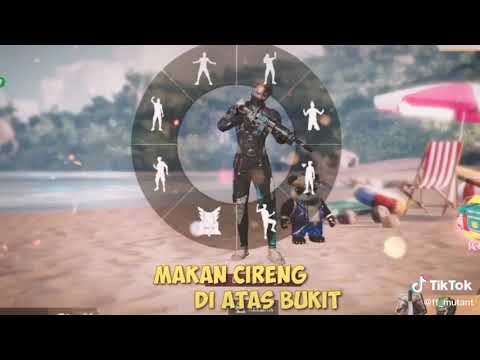 Scar Kok cupid