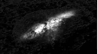 Zoanthropic - Depth Perception