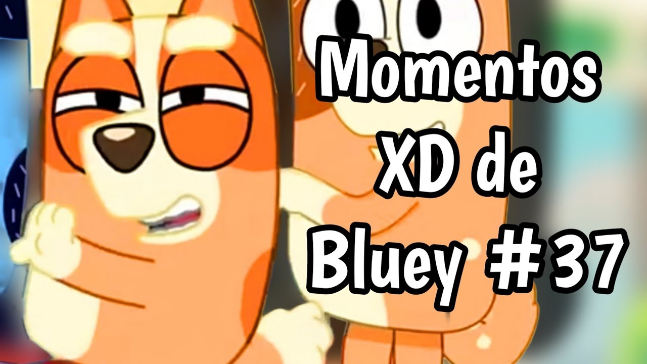 Momentos XD de Bluey #37 | Limpieza