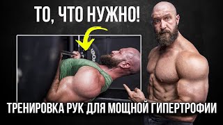 видео: Тренировка рук для мощной гипертрофии (это то, что вам нужно!) картинка: Тренировка рук для мощной гипертрофии (это то, что вам нужно!)