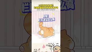 Fat Orange Hurdle Large Rollover Scene Video source Past Sui Feng Orange Cat Drawing Cutting Cat