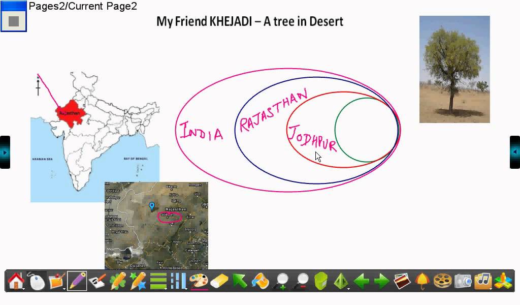 khejri tree -my friend