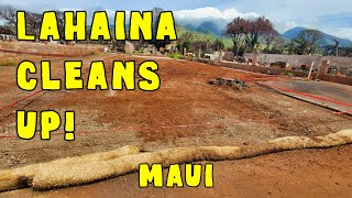 Lahaina Burn Zone Cleans Up. Maui Rebounds And Lahaina Moves Forward.