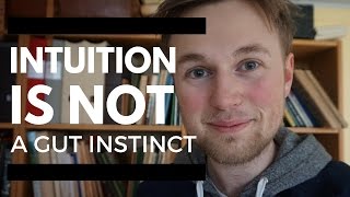 What You Have Misunderstood About Intuition