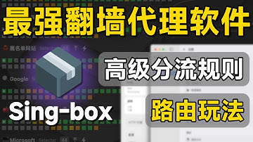 【最强代理软件】GUI.For.SingBox详细使用教程，规则配置、TUN，策略组、分流规则集、路由规则、节点整理最新保姆级教程！关联翻墙客户端/ 2025/SingBox内核