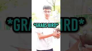 Ray Scares Kai Cenat With A Pigeon! 😭💀