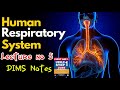 Respiratory physiology (control of breathing) part 5