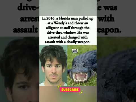 IN 2016, A FLORIDA MAN PULLED UP AT A WENDY'S AND THREW AN ALLIGATOR AT STAFF THROUGH THE DR.#shorts