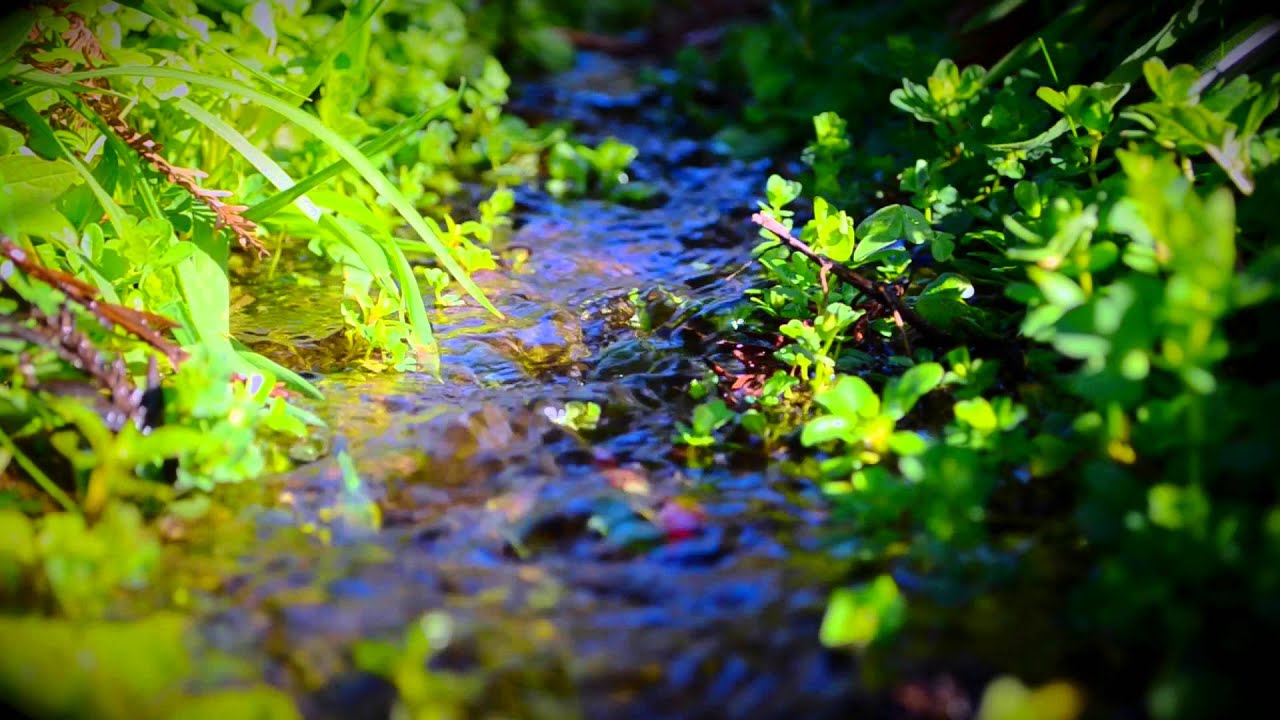 Transparencia - Eduardo Meana