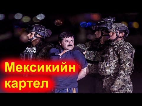 Видео: Мексикийн хамгийн том хотууд