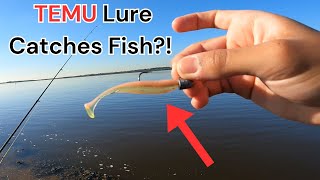 This TEMU Lure Catches Fish!