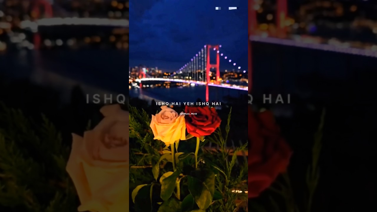 Try with your own voice🫀 