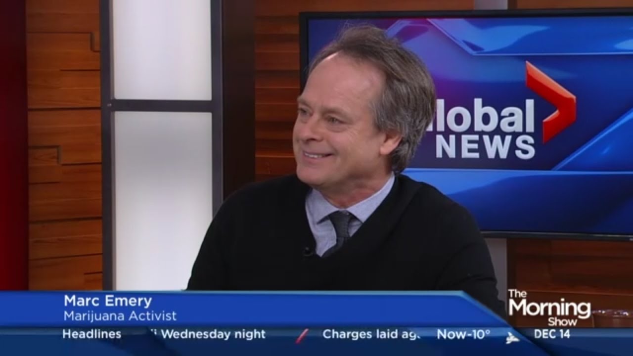 The Prince of Pot reacts to the marijuana task force report