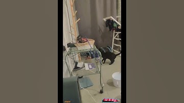 Funny Videos | Instant Regret | Fails Of The Week | Fail Compilation | Try Not To Laugh 2023