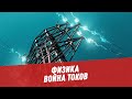 Война токов: как противоборство постоянного и переменного токов повлияло на эволюцию - Физика