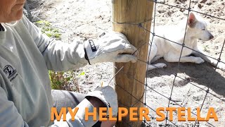 Adding A Gate On A Existing Fence Line pt2